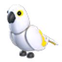 White Amazon